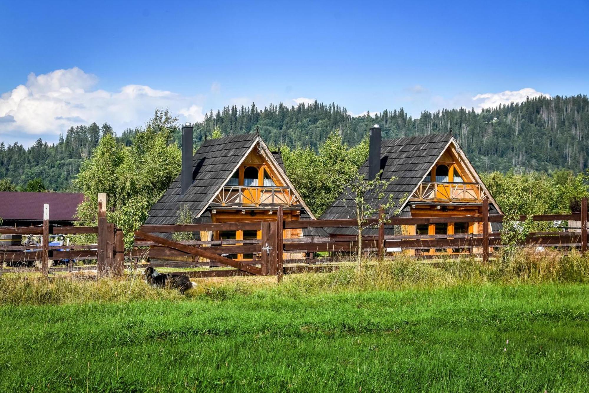 Domek alpejski Gazdowka Na Brzyzku