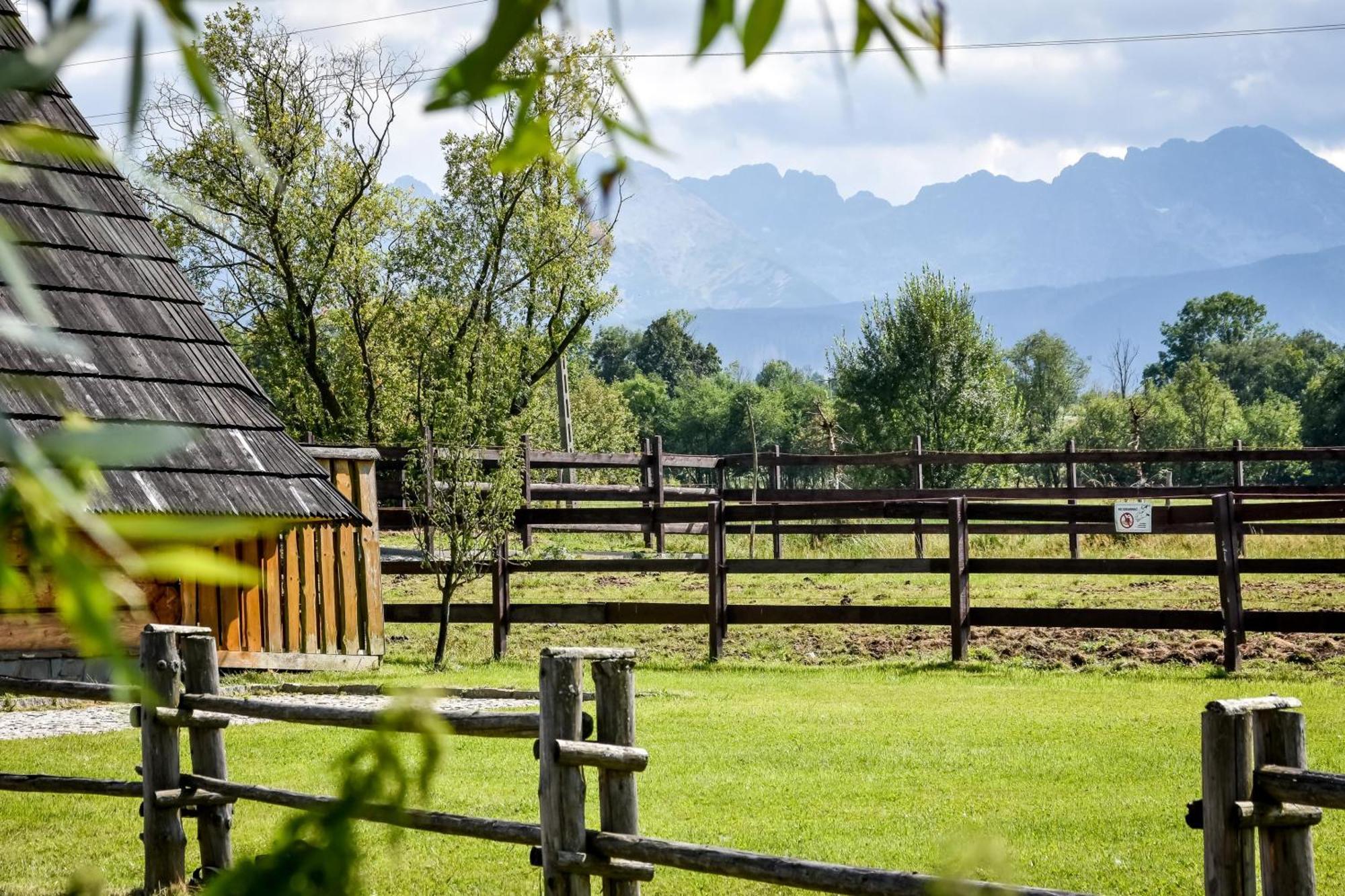 Domek alpejski Gazdowka Na Brzyzku